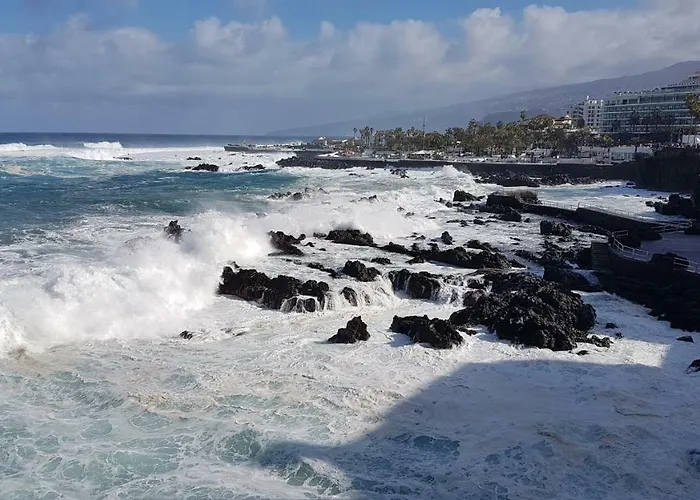Rosmary * Puerto de la Cruz (Tenerife)