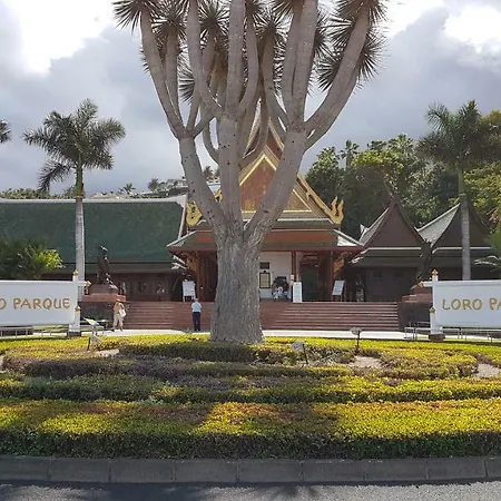 Rosmary * Puerto de la Cruz (Tenerife)