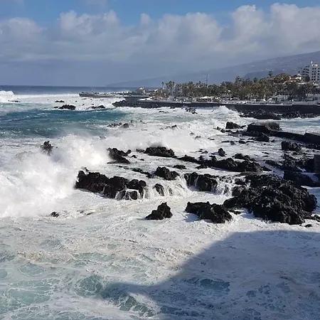 Rosmary * Puerto de la Cruz (Tenerife)