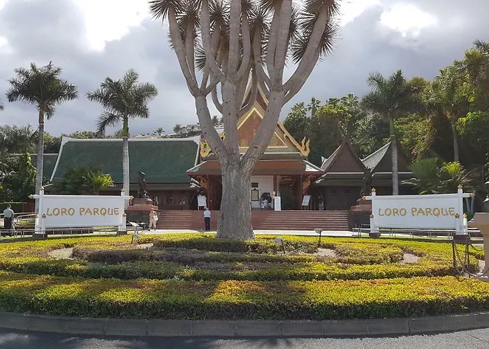 Rosmary * 푸에르토 드 라 크루즈