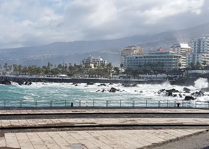 Rosmary 푸에르토 드 라 크루즈